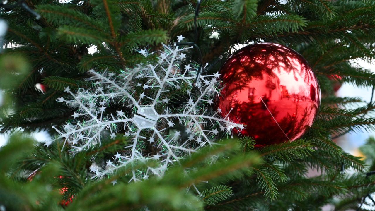 TRADIZIONI NATALIZIE